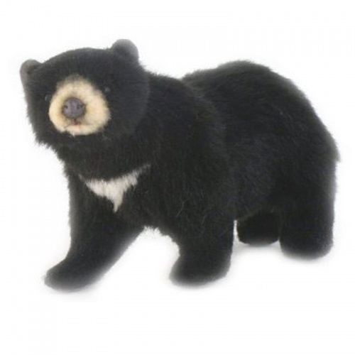 Hansa Mini Black Bear Plush Soft Toy| Dragon Toys Teddy Bears and Soft Toys