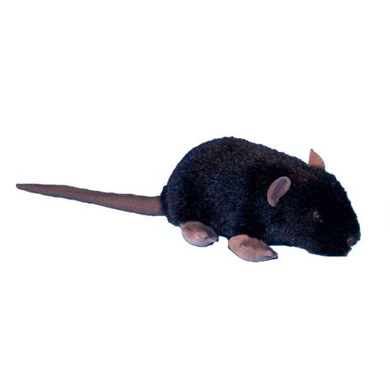 rat cuddly toy