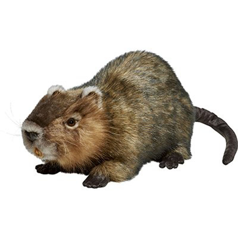 rat soft toy